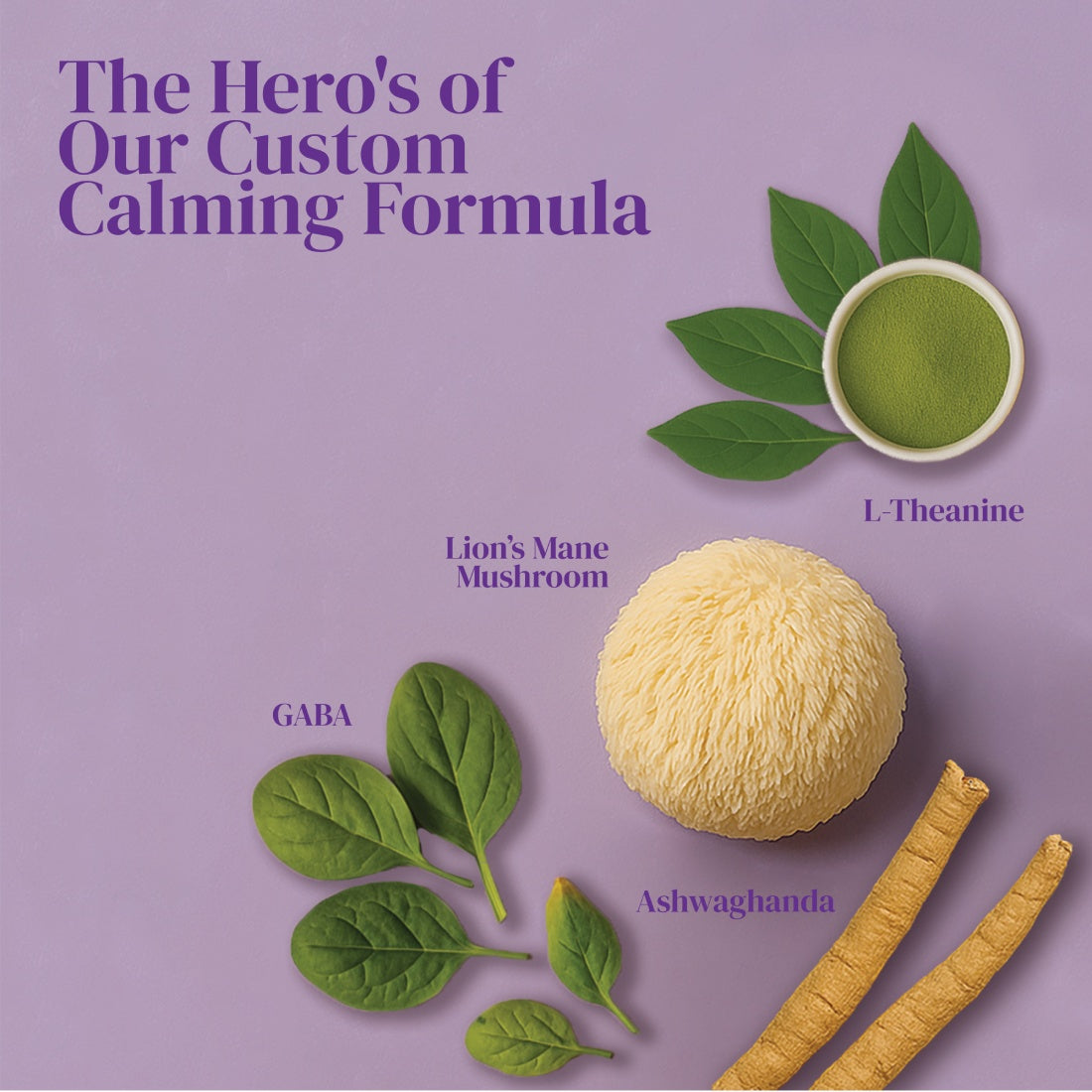 Peace & Focus Supplement